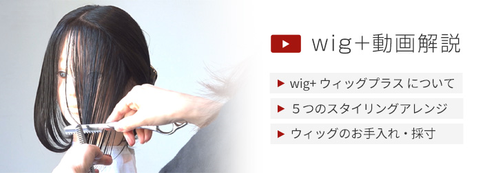 wig+動画解説