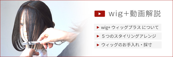 wig+動画解説ページ